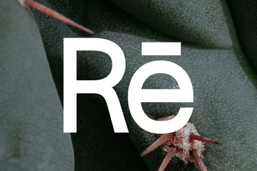 Gratuity for the Rē Team