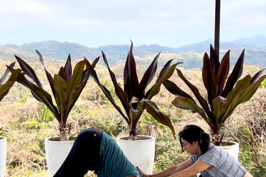 private-yoga-session-with-sara