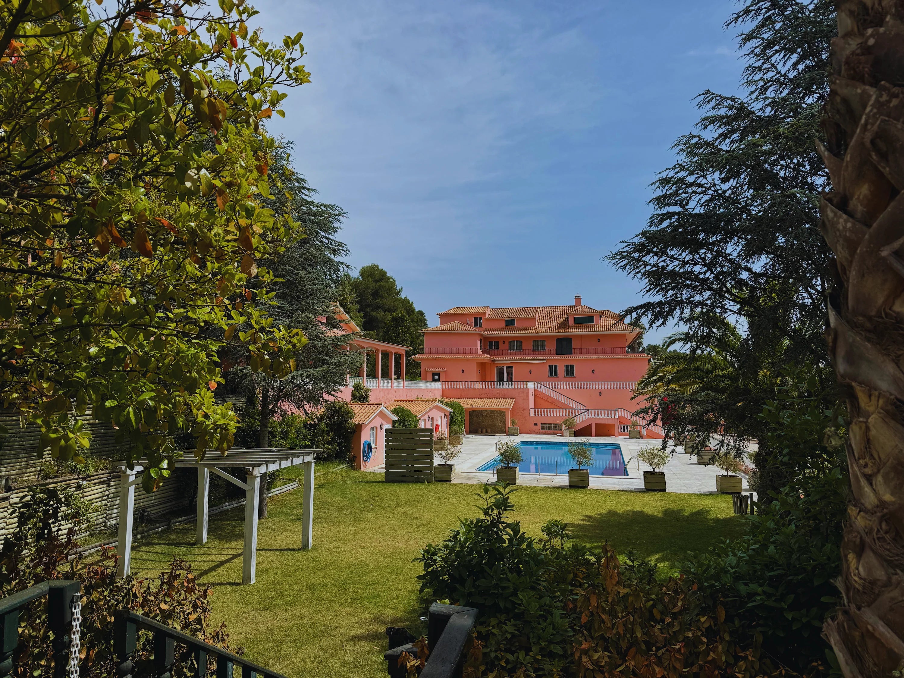 245 verified 5-star reviews