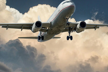 Private Airport Transportation Meet & Greet